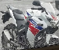Avatar du membre