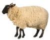 Avatar du membre