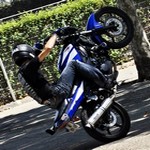Avatar du membre